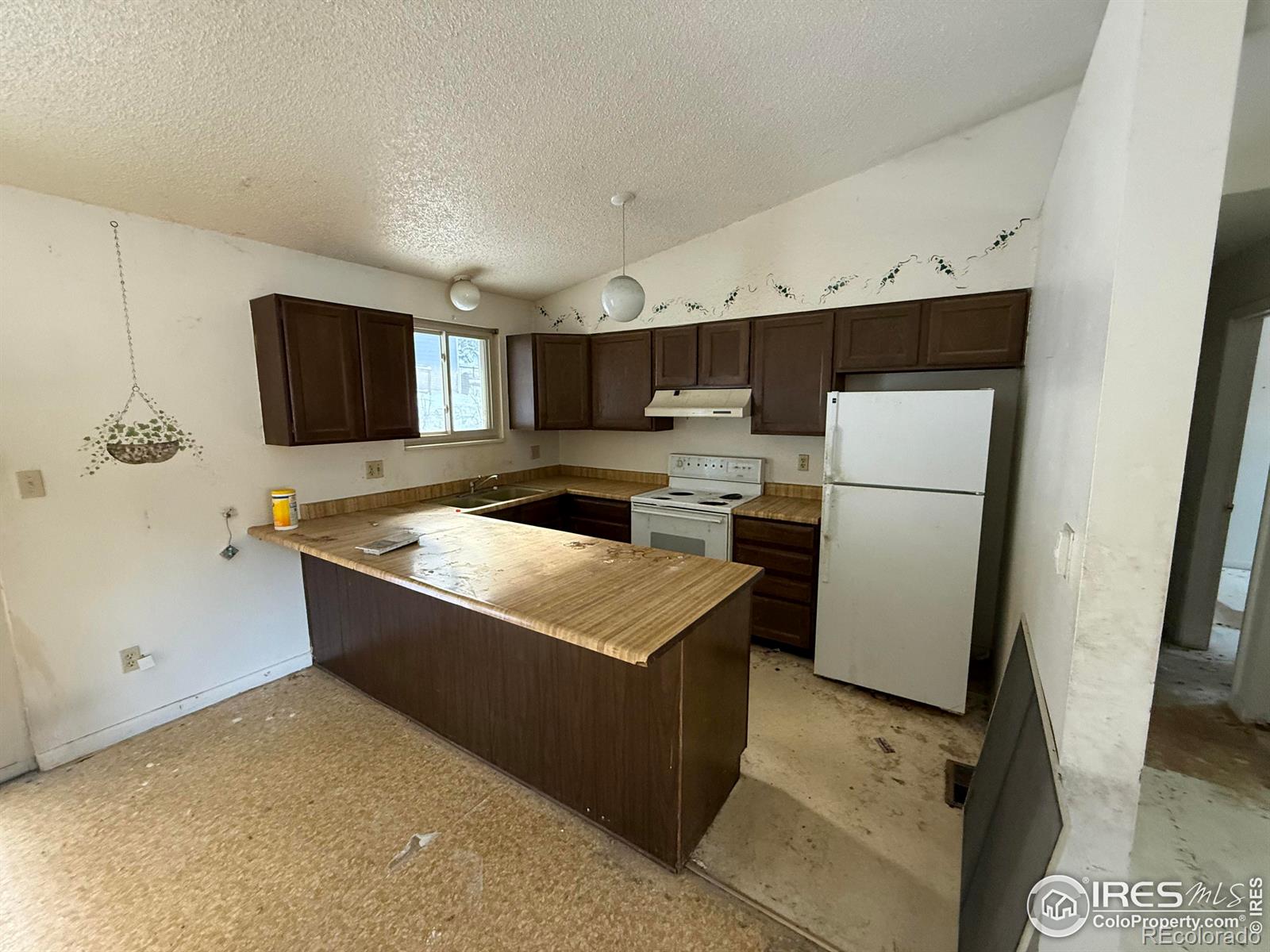 MLS Image #5 for 26360  mowbray court,kittredge, Colorado