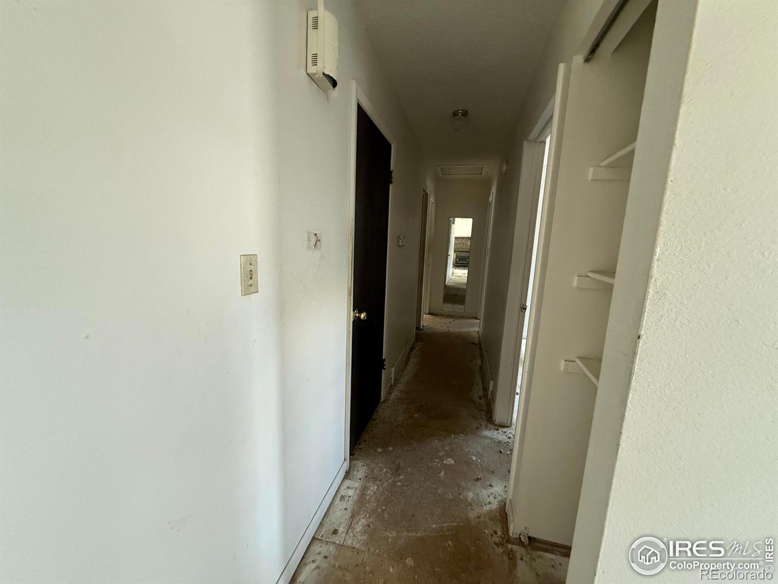 MLS Image #6 for 26360  mowbray court,kittredge, Colorado