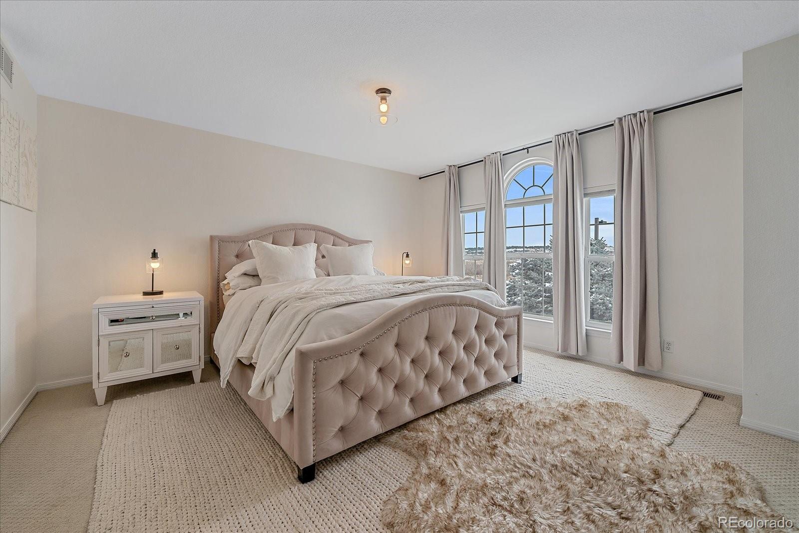 MLS Image #24 for 10221  amethyst way,parker, Colorado