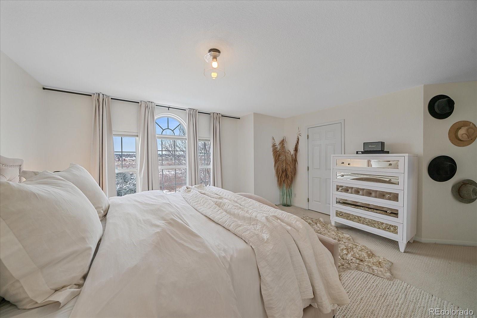 MLS Image #26 for 10221  amethyst way,parker, Colorado