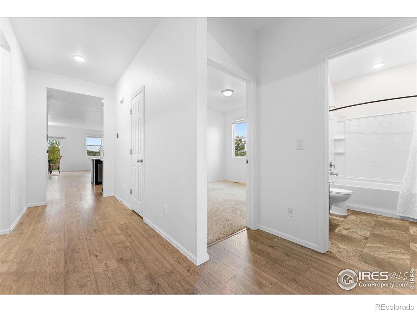 MLS Image #10 for 501  buckrake street,severance, Colorado