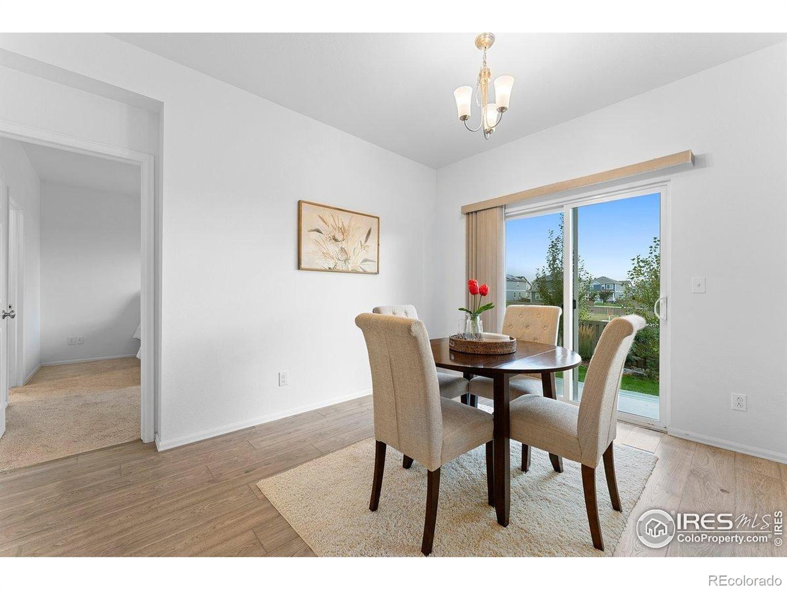 MLS Image #20 for 501  buckrake street,severance, Colorado