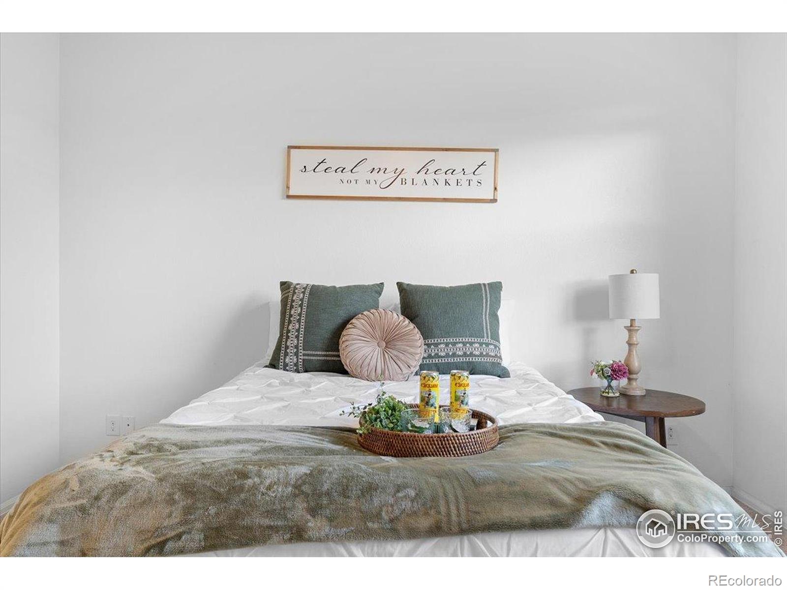 MLS Image #25 for 501  buckrake street,severance, Colorado