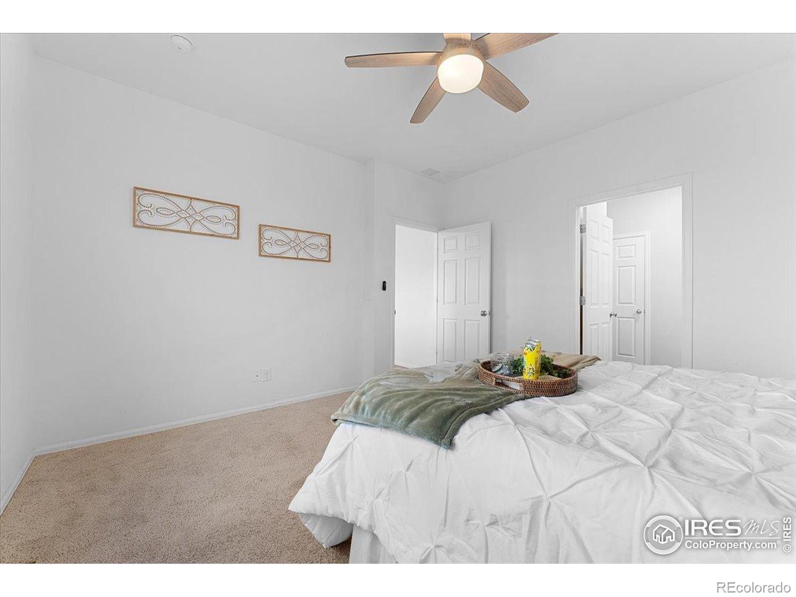 MLS Image #27 for 501  buckrake street,severance, Colorado