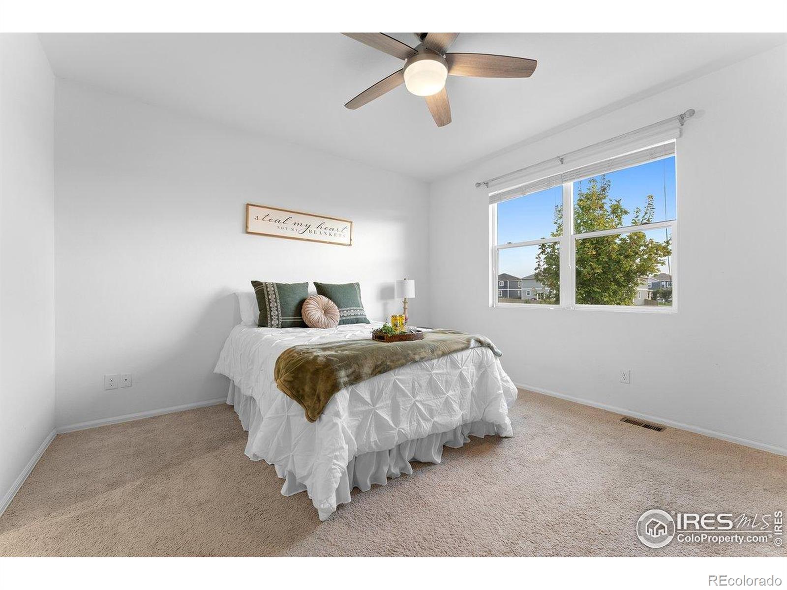MLS Image #32 for 501  buckrake street,severance, Colorado