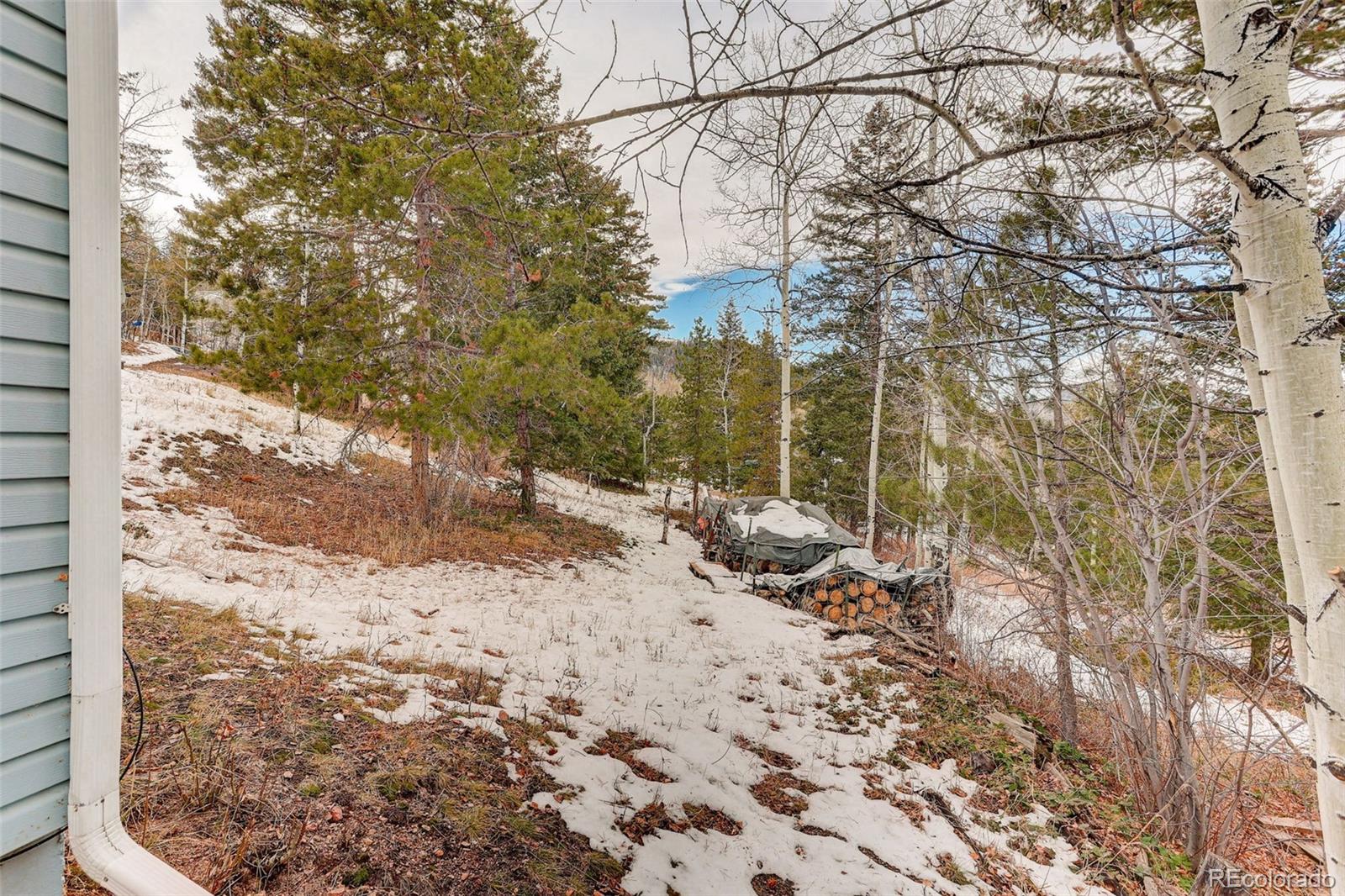 MLS Image #23 for 20543  cypress drive,morrison, Colorado