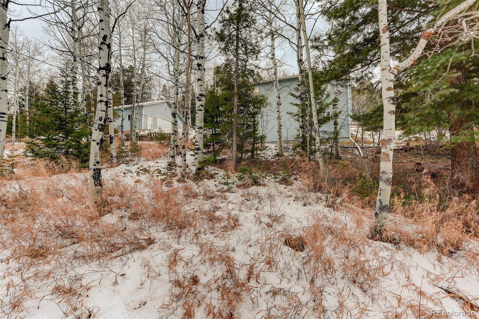 MLS Image #25 for 20543  cypress drive,morrison, Colorado