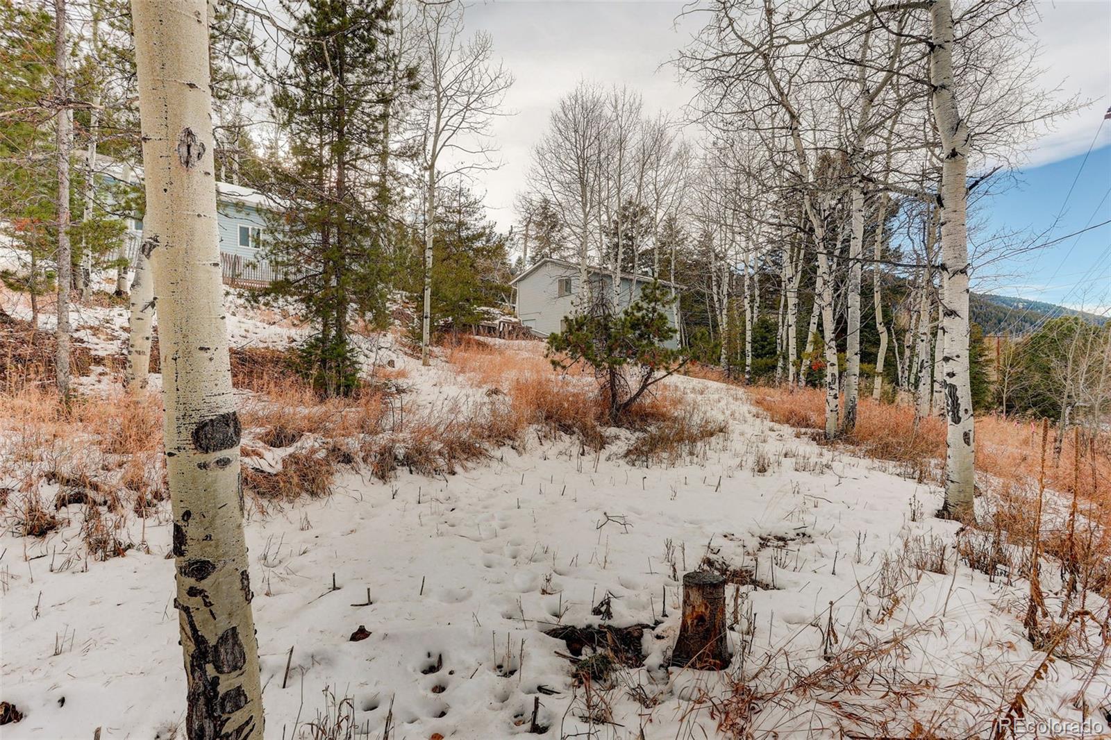 MLS Image #26 for 20543  cypress drive,morrison, Colorado