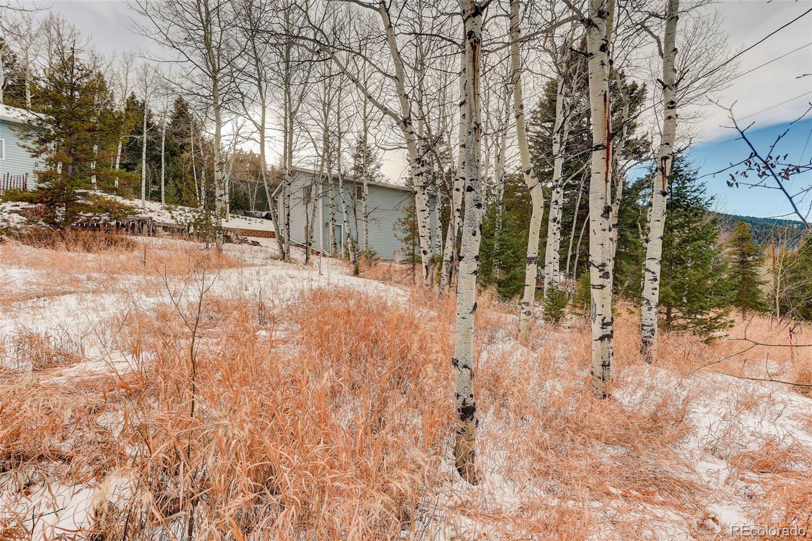 MLS Image #27 for 20543  cypress drive,morrison, Colorado