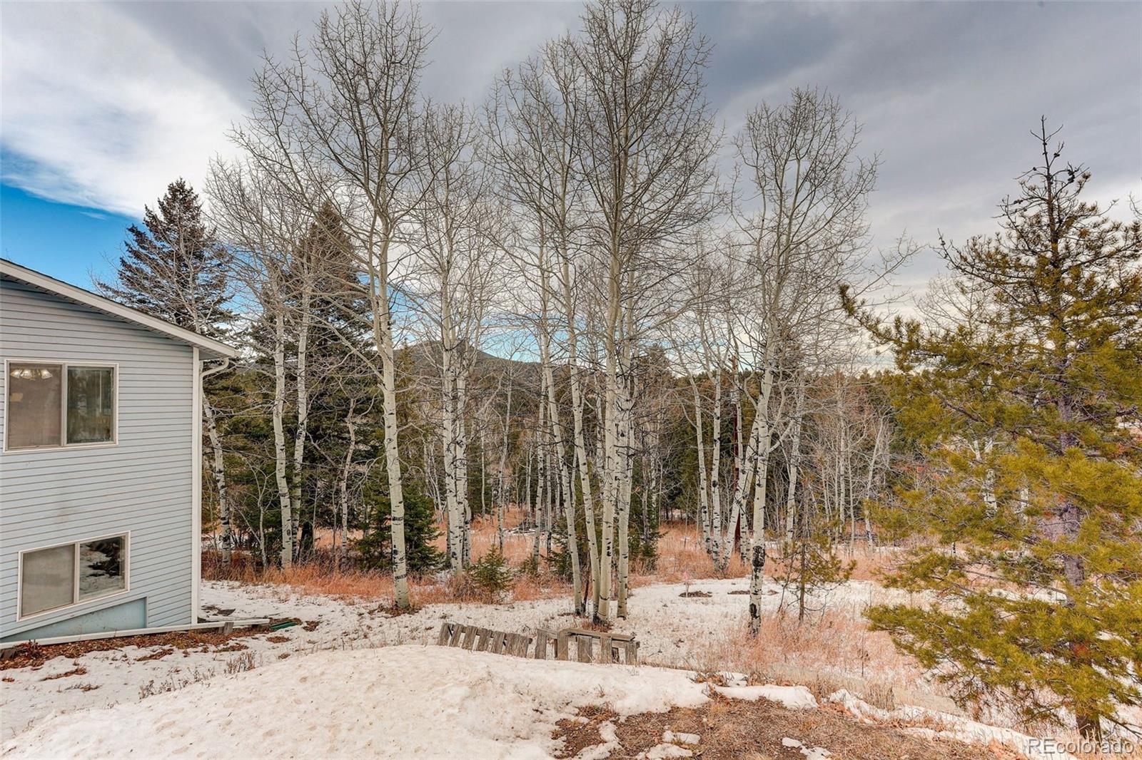 MLS Image #4 for 20543  cypress drive,morrison, Colorado