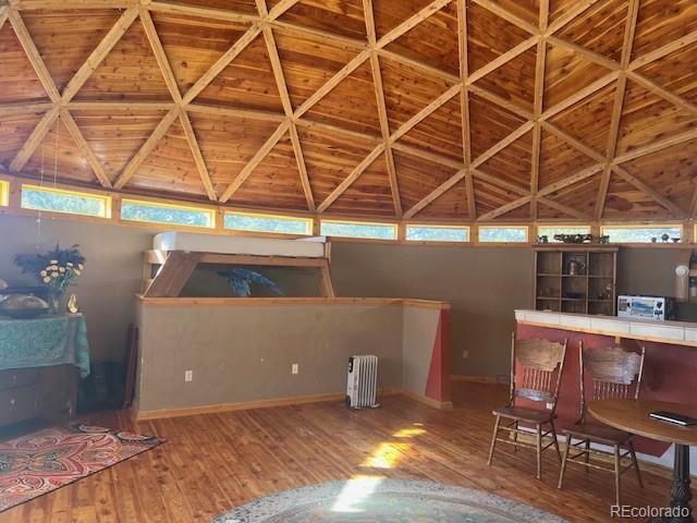 MLS Image #7 for 4501  ridgecrest way,crestone, Colorado