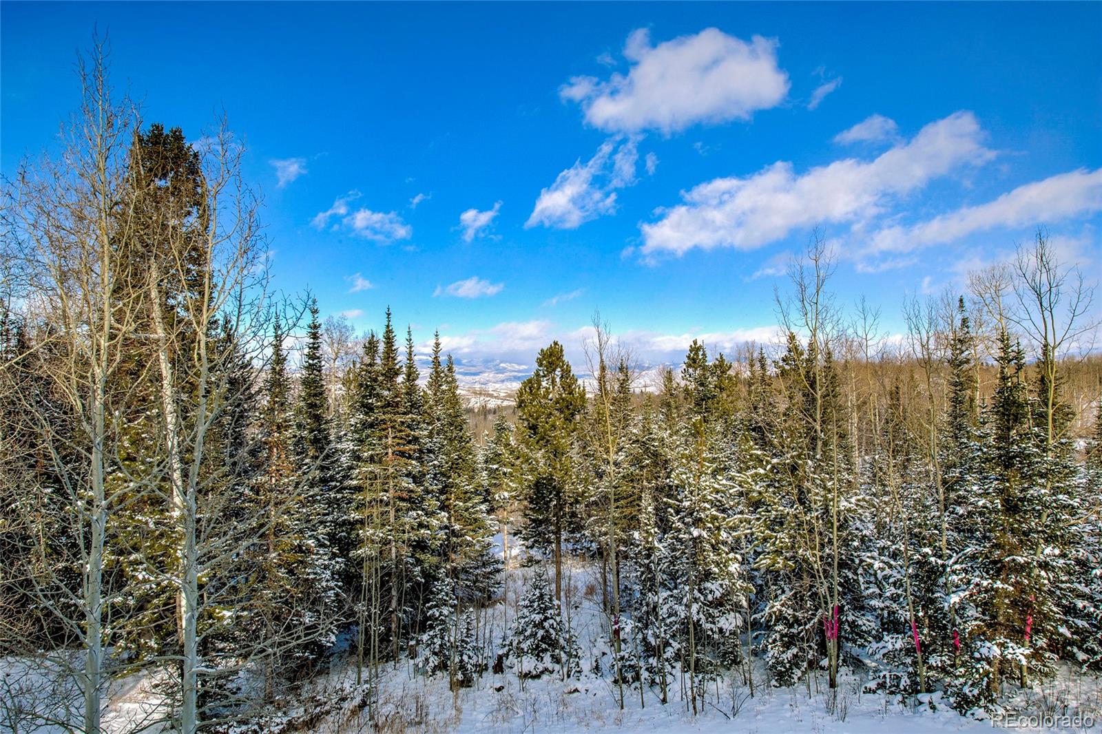 MLS Image #13 for 12  gcr 161 (old pass rd) ,kremmling, Colorado