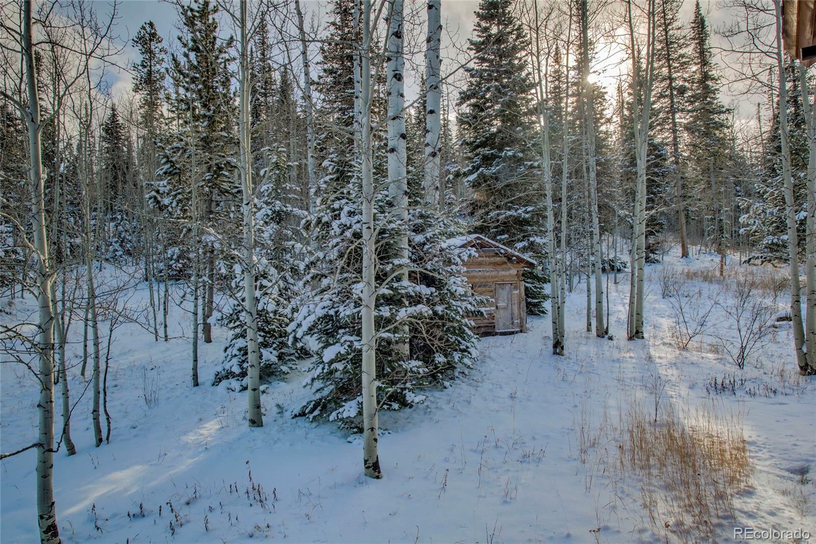 MLS Image #16 for 12  gcr 161 (old pass rd) ,kremmling, Colorado