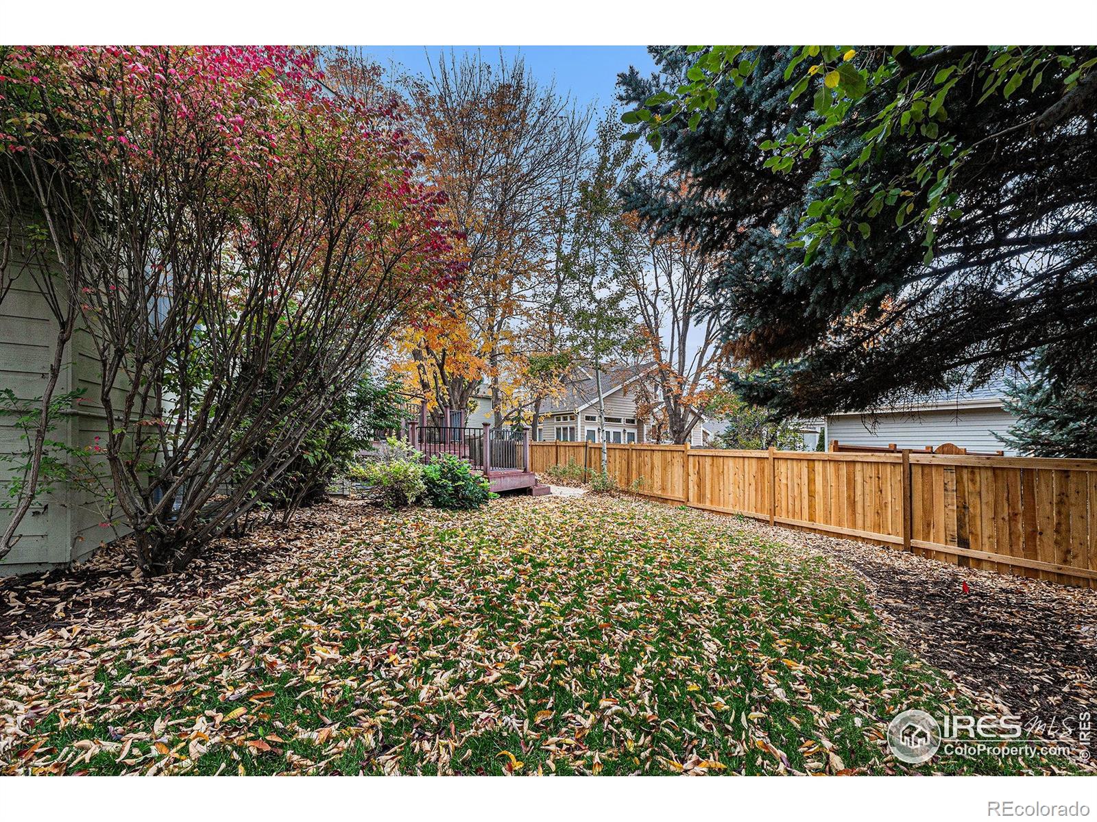 MLS Image #11 for 818  maxwell court,fort collins, Colorado