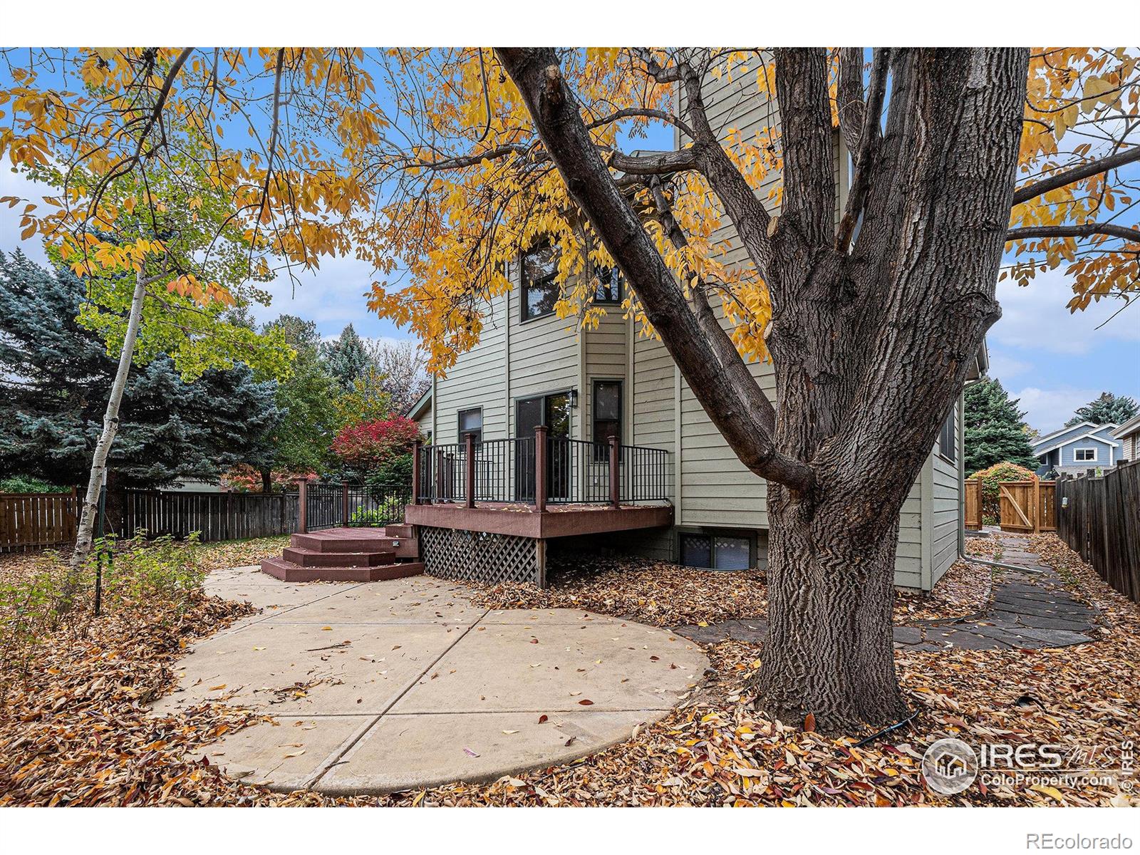 MLS Image #13 for 818  maxwell court,fort collins, Colorado