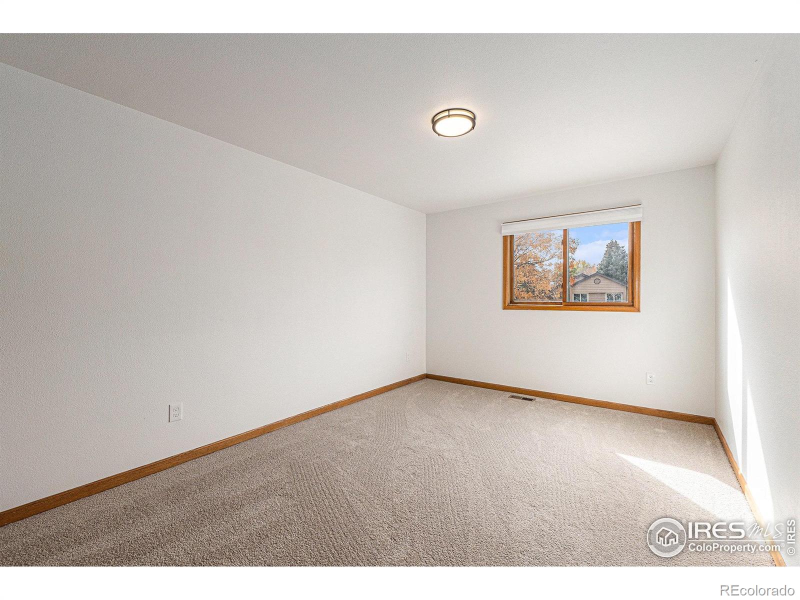 MLS Image #27 for 818  maxwell court,fort collins, Colorado
