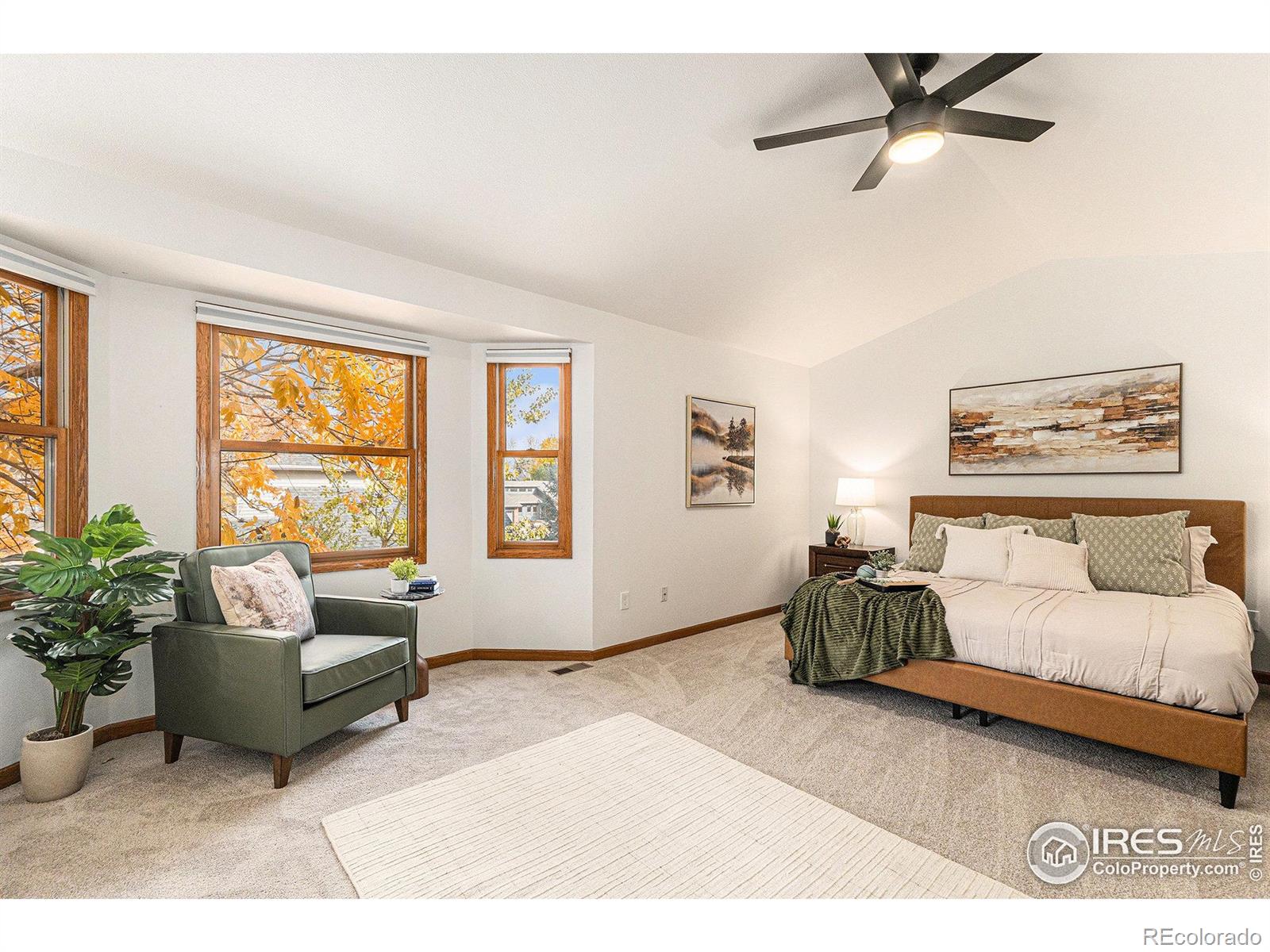 MLS Image #28 for 818  maxwell court,fort collins, Colorado
