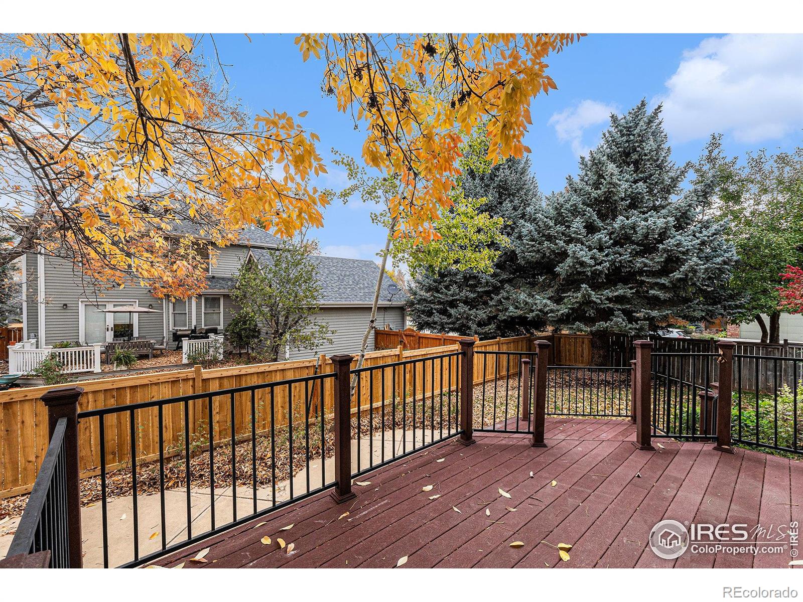 MLS Image #9 for 818  maxwell court,fort collins, Colorado