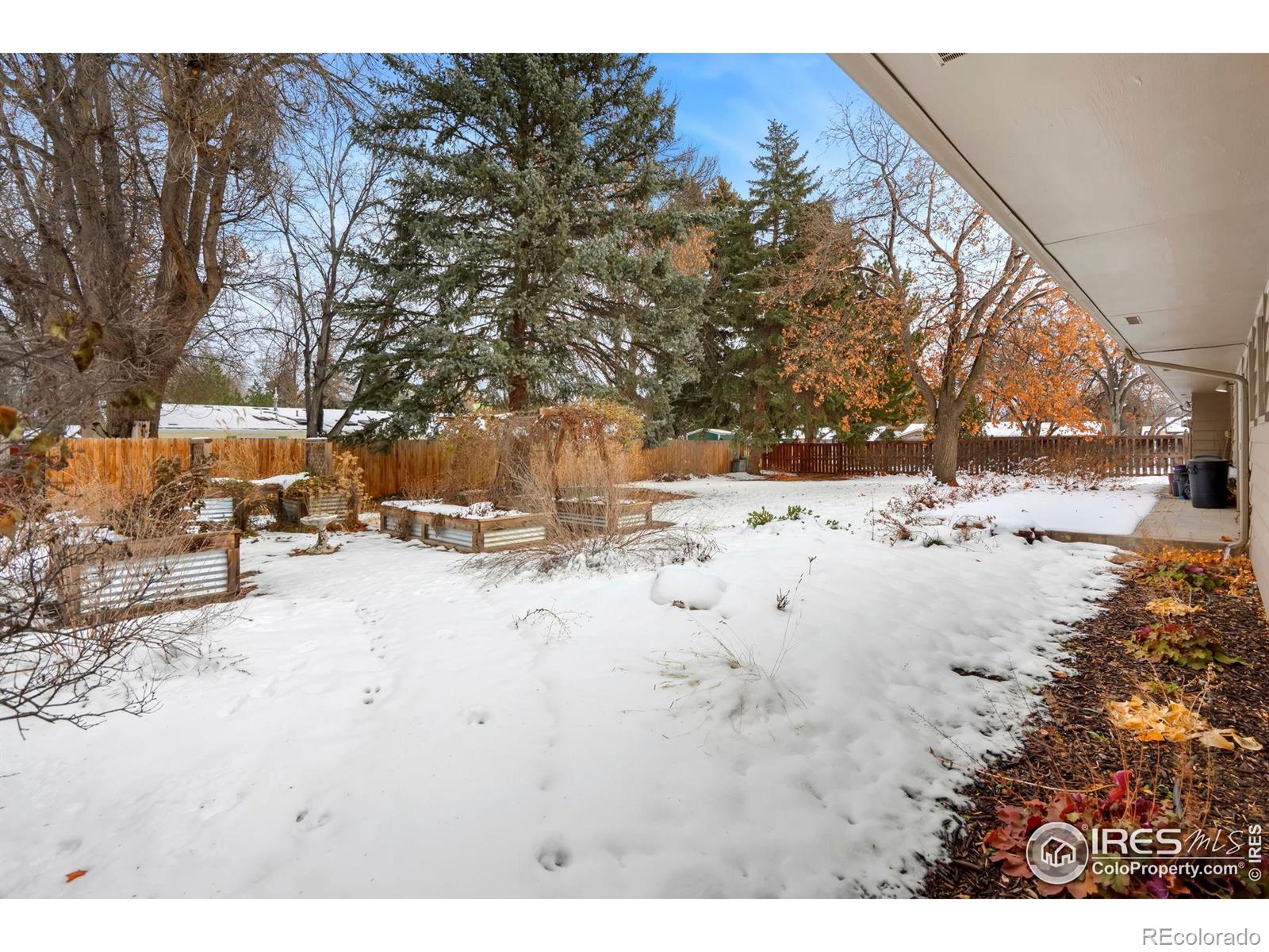 MLS Image #13 for 820  buckeye street,fort collins, Colorado