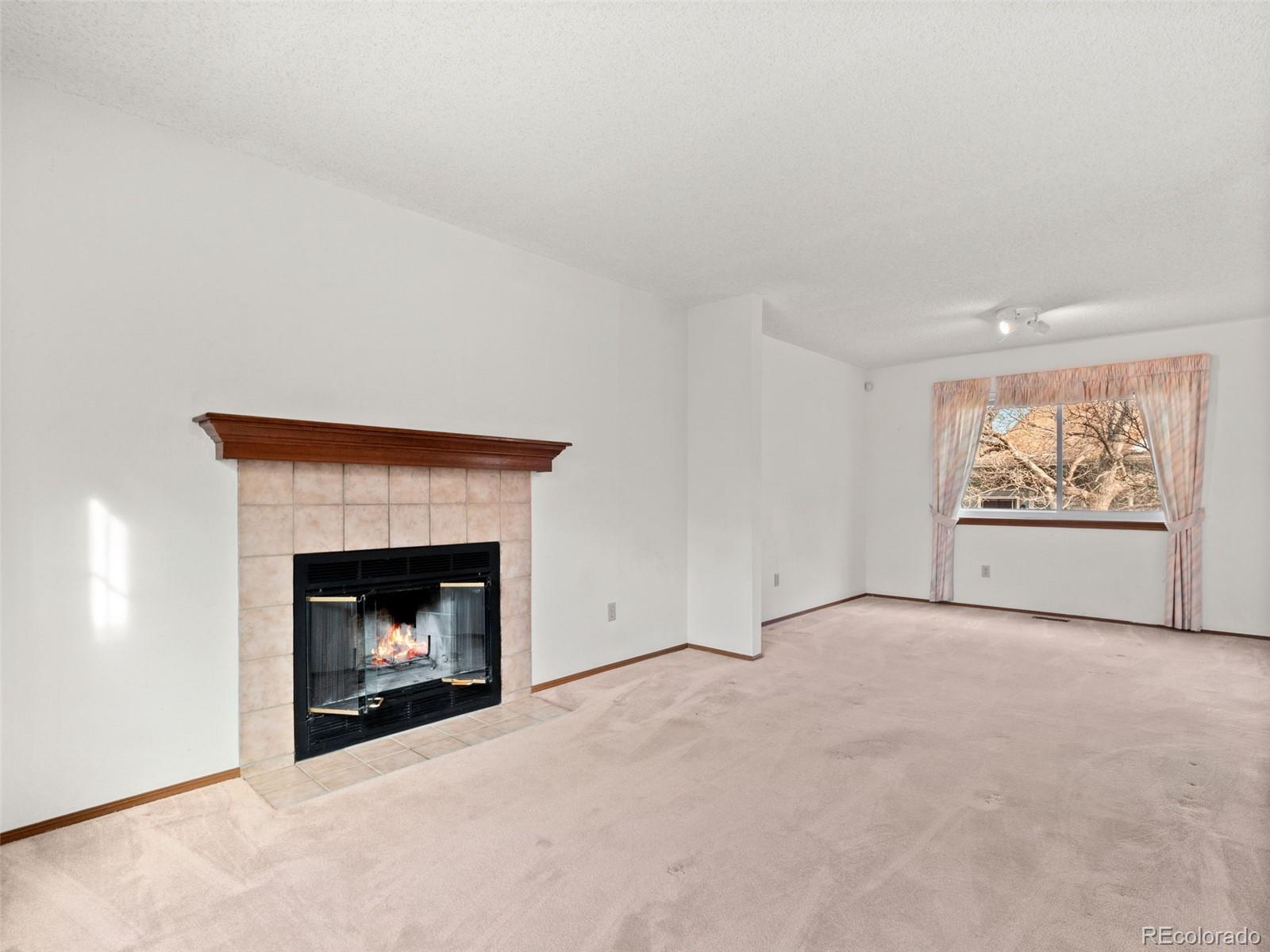 MLS Image #3 for 10016  raritan way,thornton, Colorado