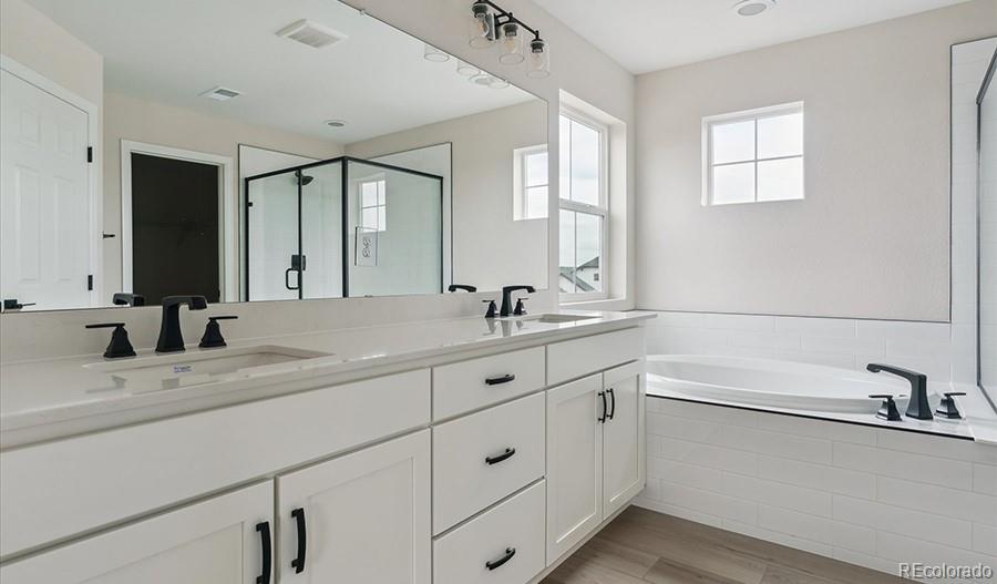 MLS Image #13 for 4741  twelve oaks way,castle rock, Colorado