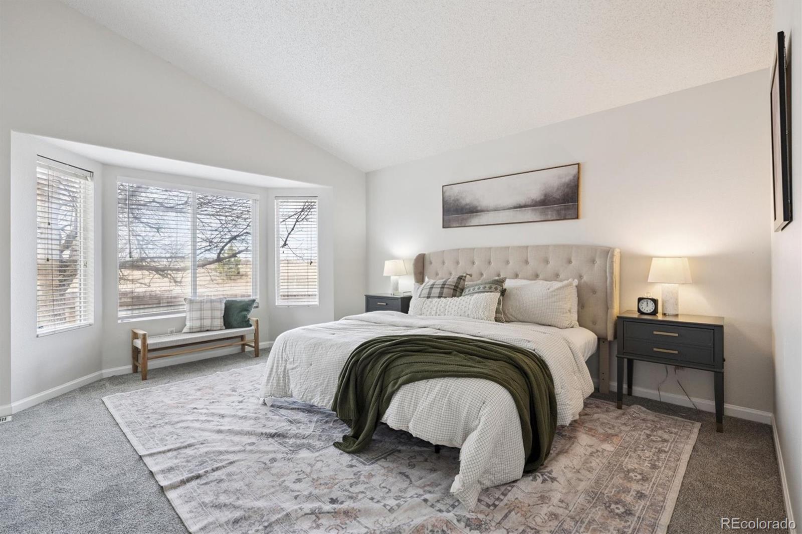 MLS Image #10 for 5241  helena street,denver, Colorado