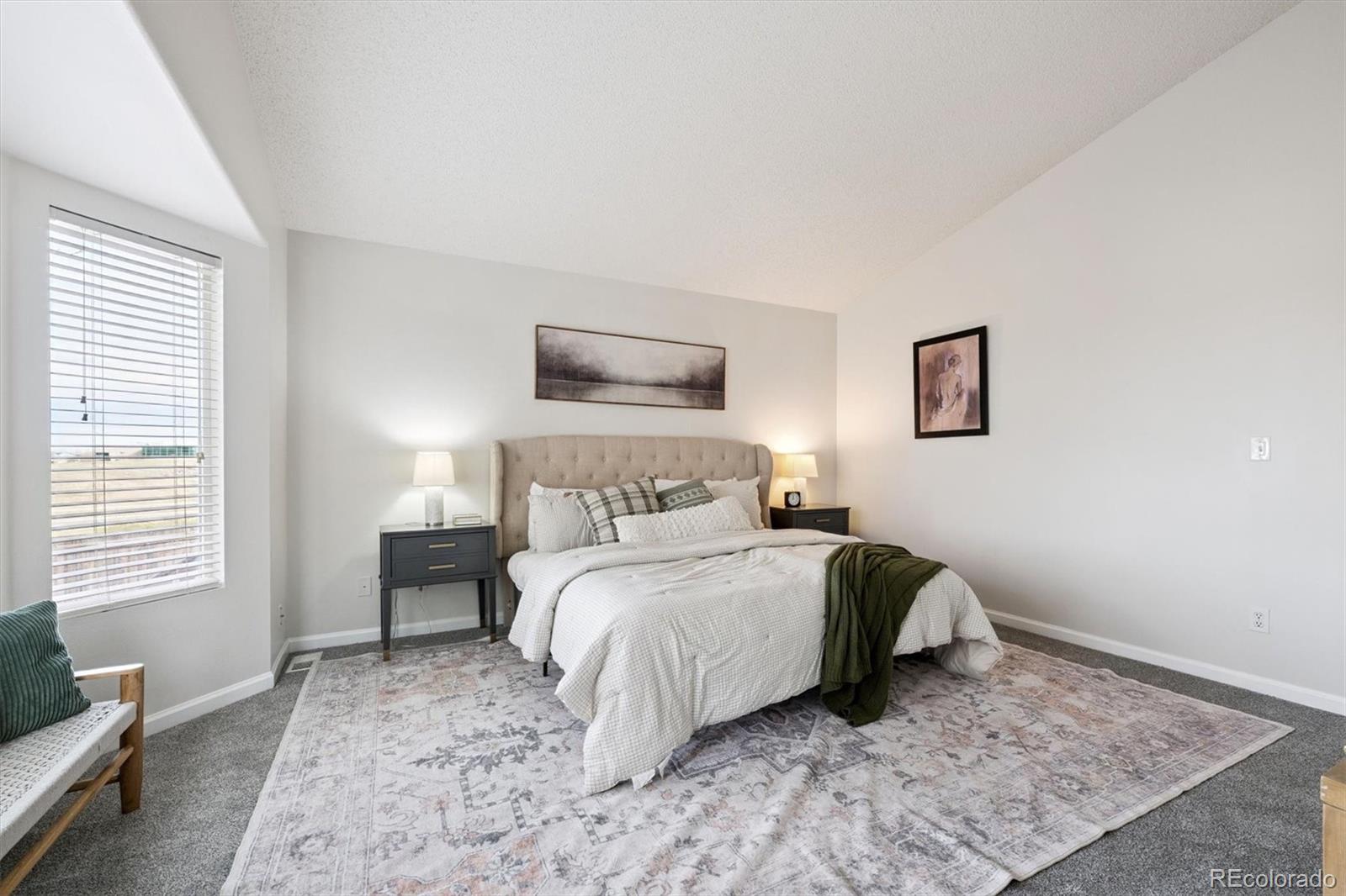 MLS Image #11 for 5241  helena street,denver, Colorado
