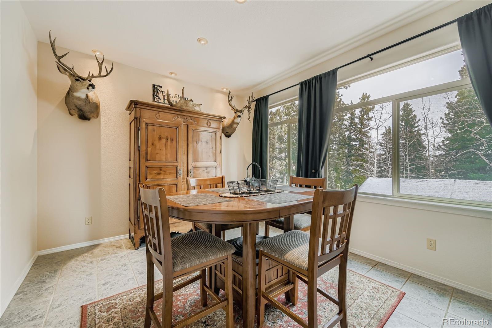 MLS Image #12 for 190  shannon place,divide, Colorado
