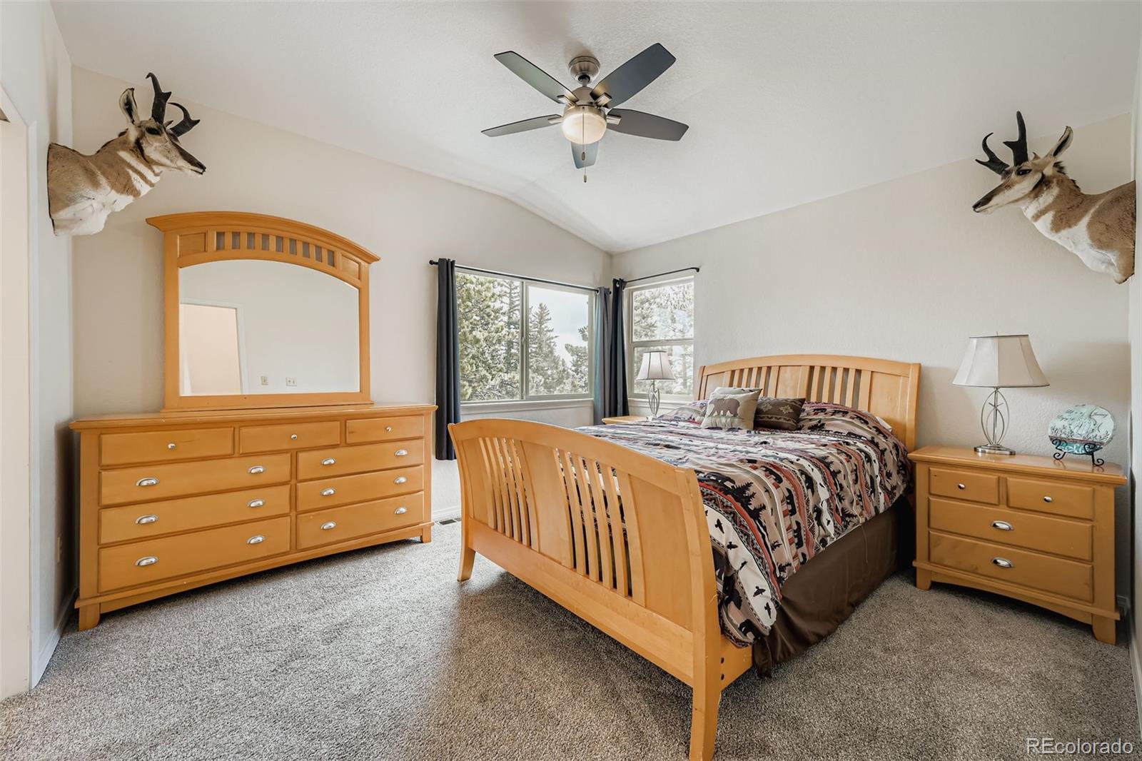 MLS Image #15 for 190  shannon place,divide, Colorado