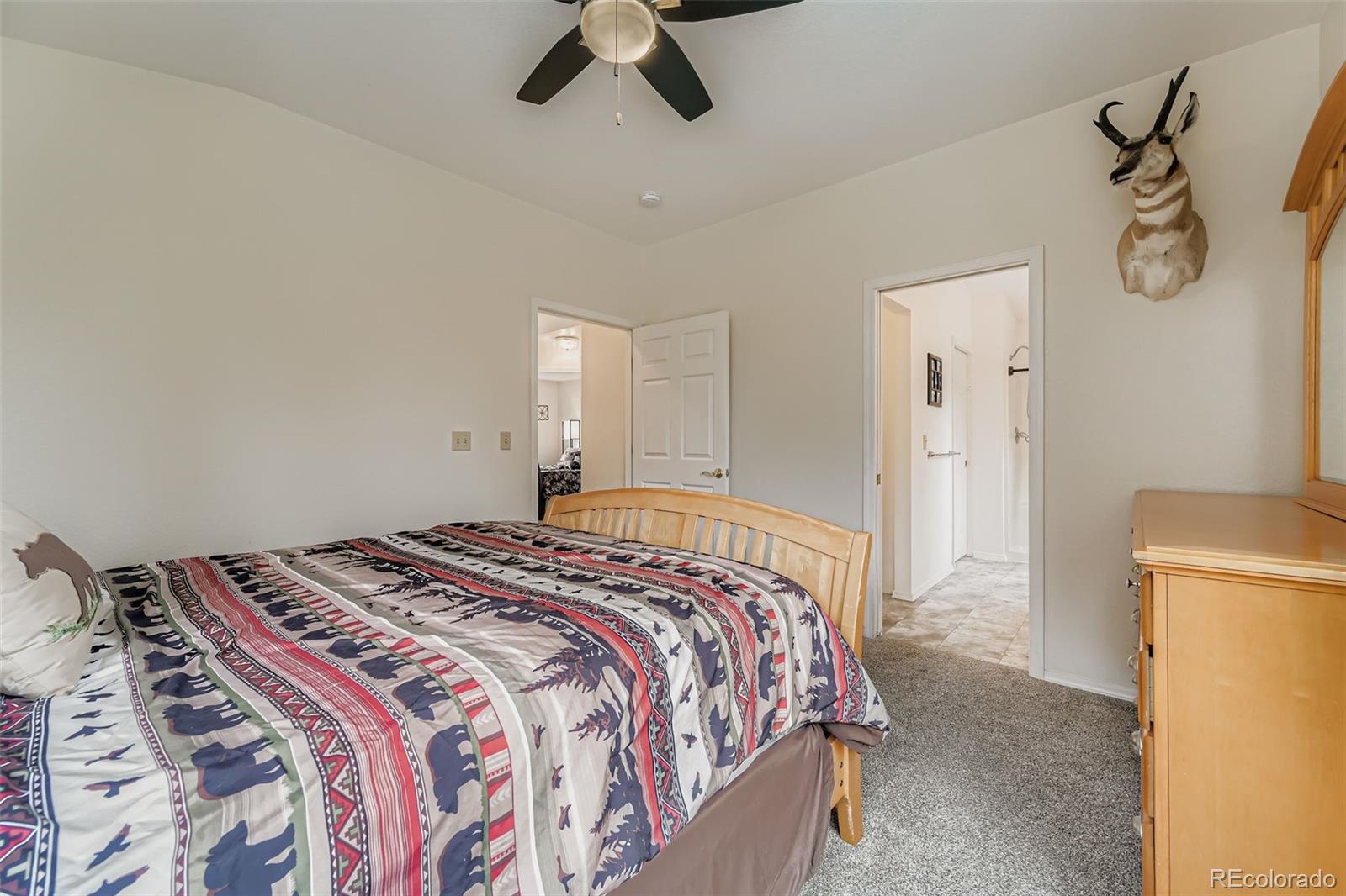 MLS Image #16 for 190  shannon place,divide, Colorado