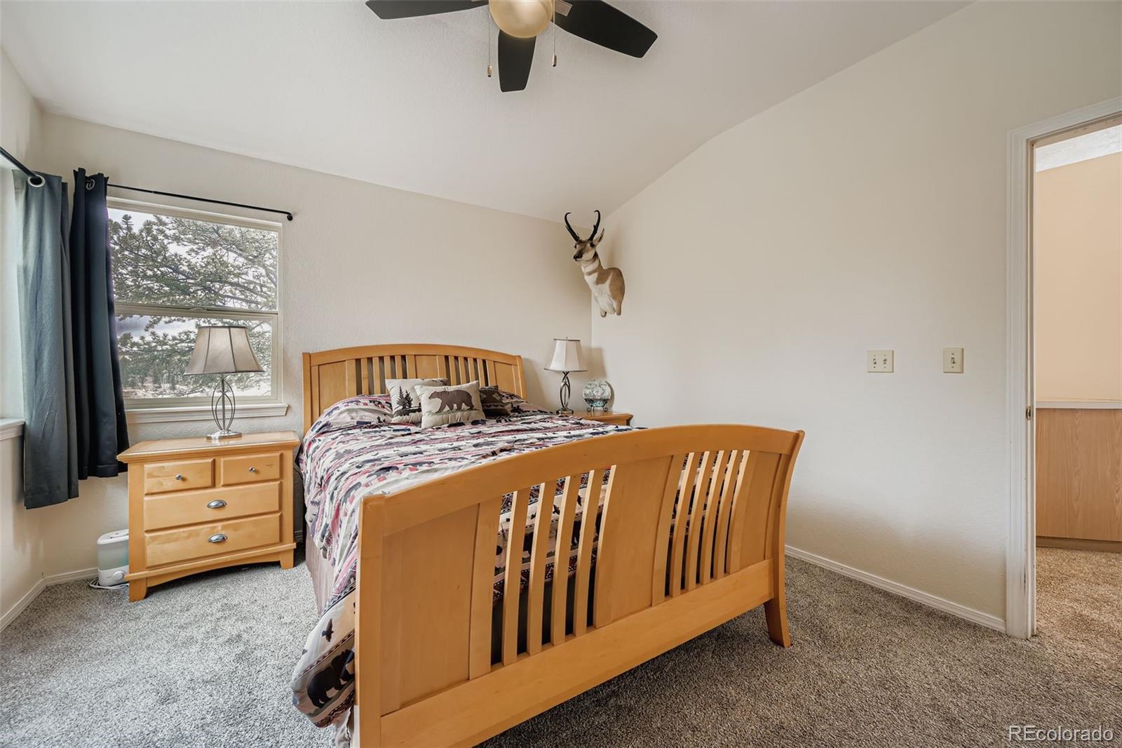 MLS Image #17 for 190  shannon place,divide, Colorado