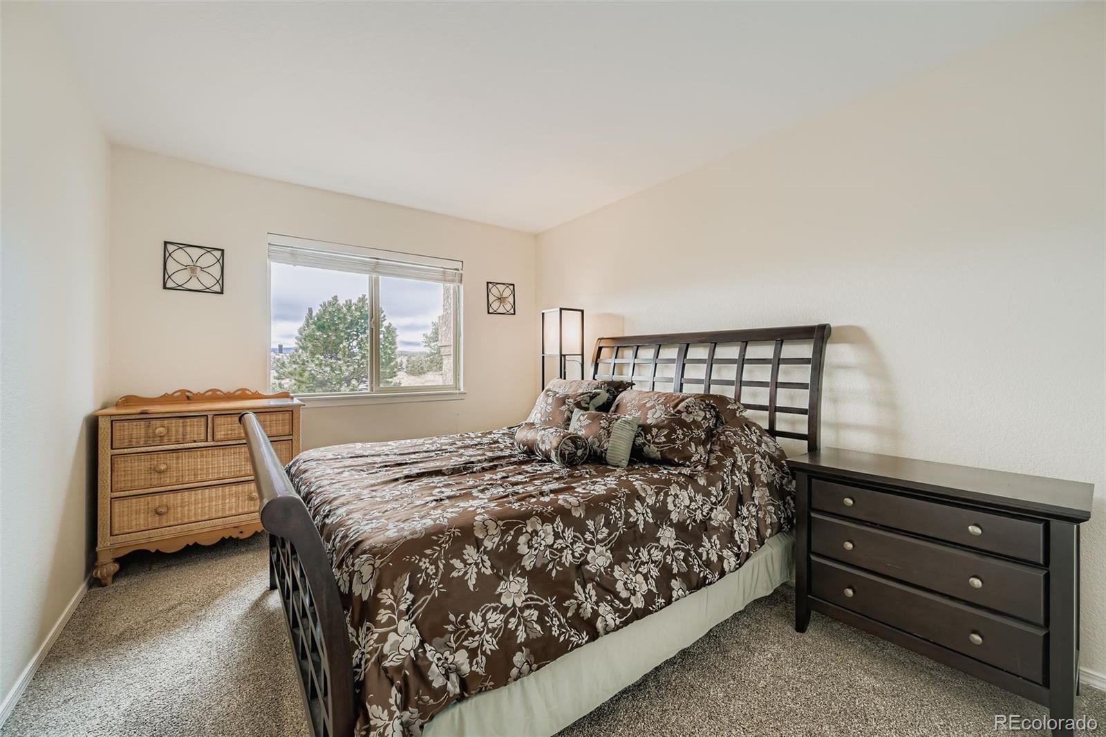 MLS Image #20 for 190  shannon place,divide, Colorado