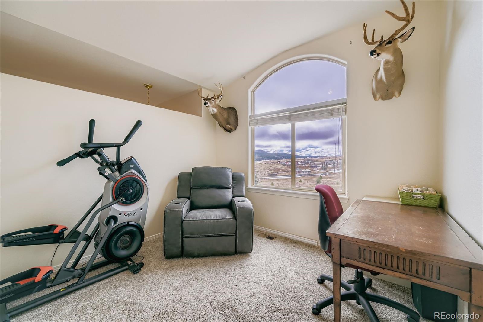 MLS Image #22 for 190  shannon place,divide, Colorado