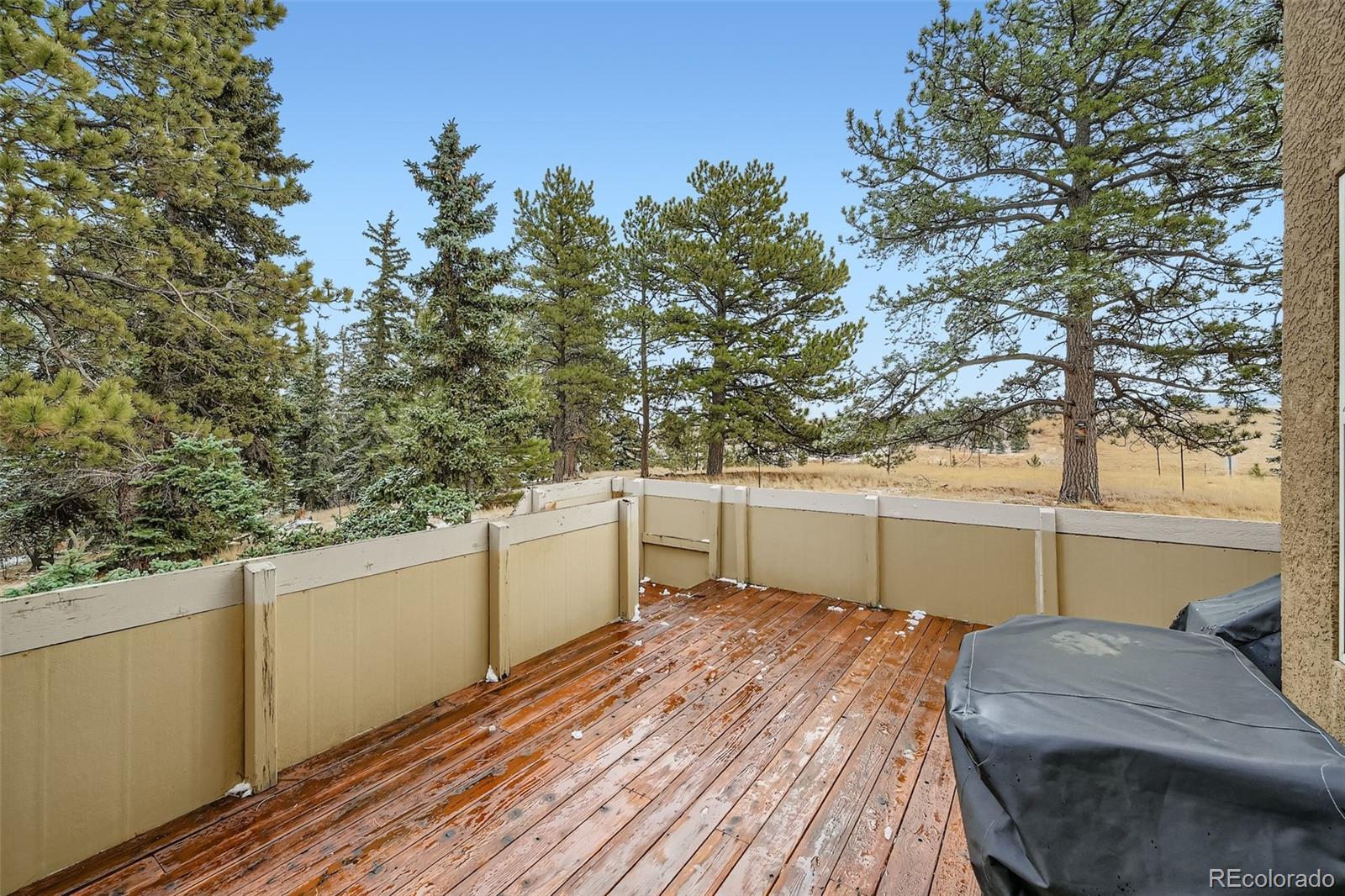 MLS Image #24 for 190  shannon place,divide, Colorado