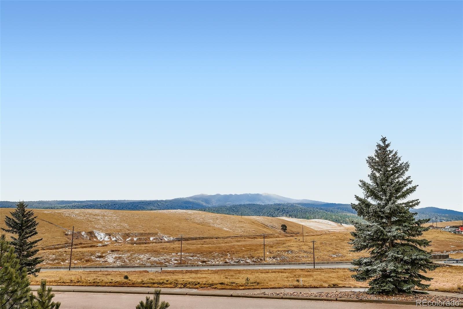 MLS Image #27 for 190  shannon place,divide, Colorado