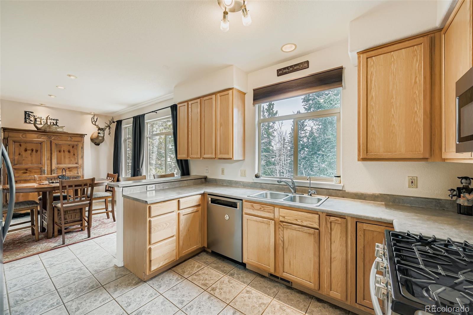 MLS Image #8 for 190  shannon place,divide, Colorado