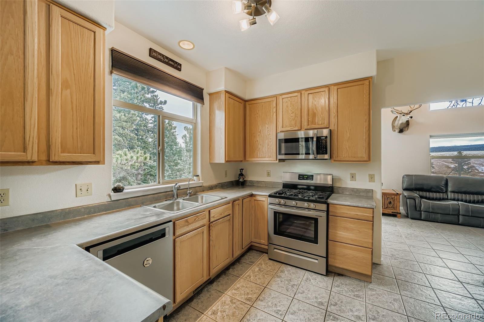MLS Image #9 for 190  shannon place,divide, Colorado