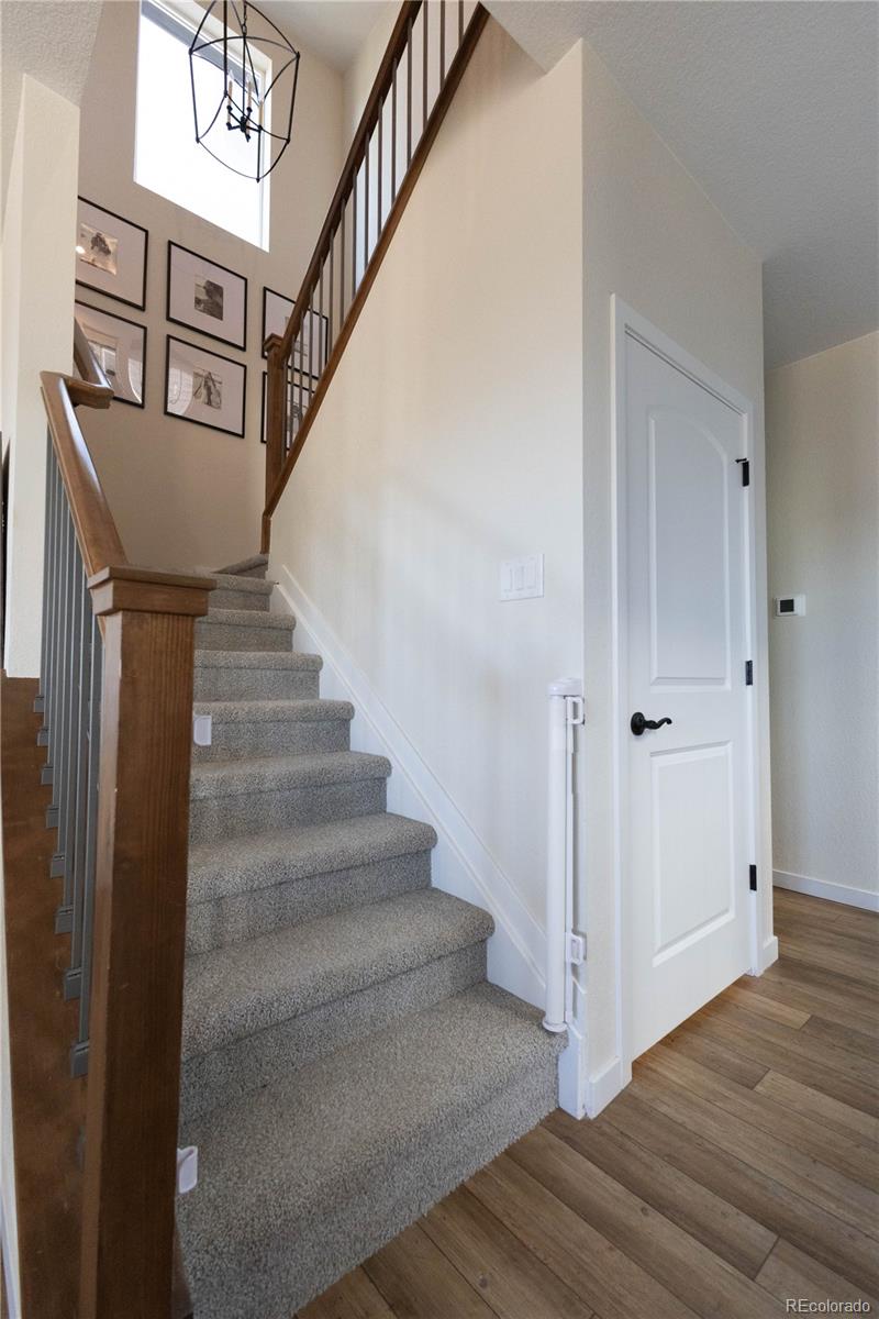 MLS Image #11 for 8787  hugo drive,littleton, Colorado