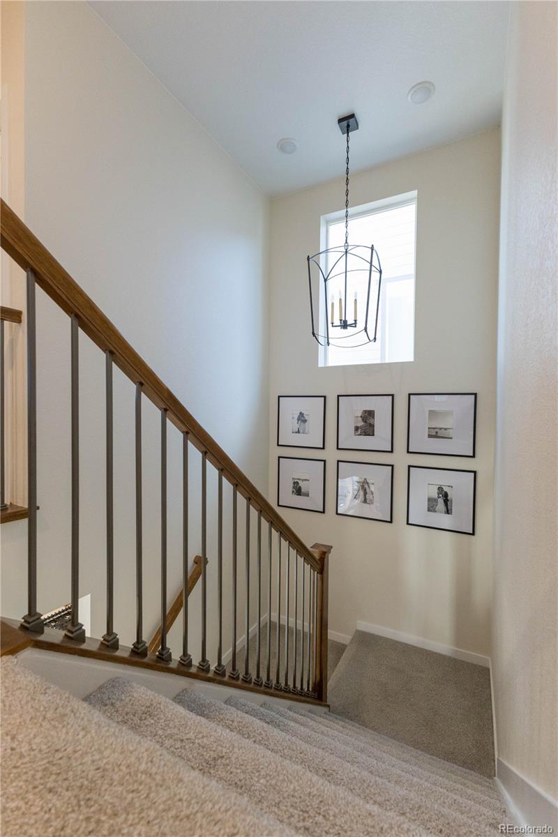 MLS Image #13 for 8787  hugo drive,littleton, Colorado
