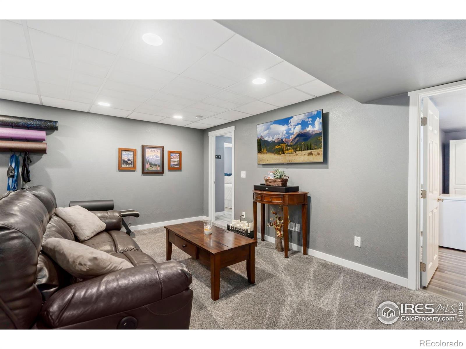 MLS Image #19 for 1104  canyon drive,windsor, Colorado