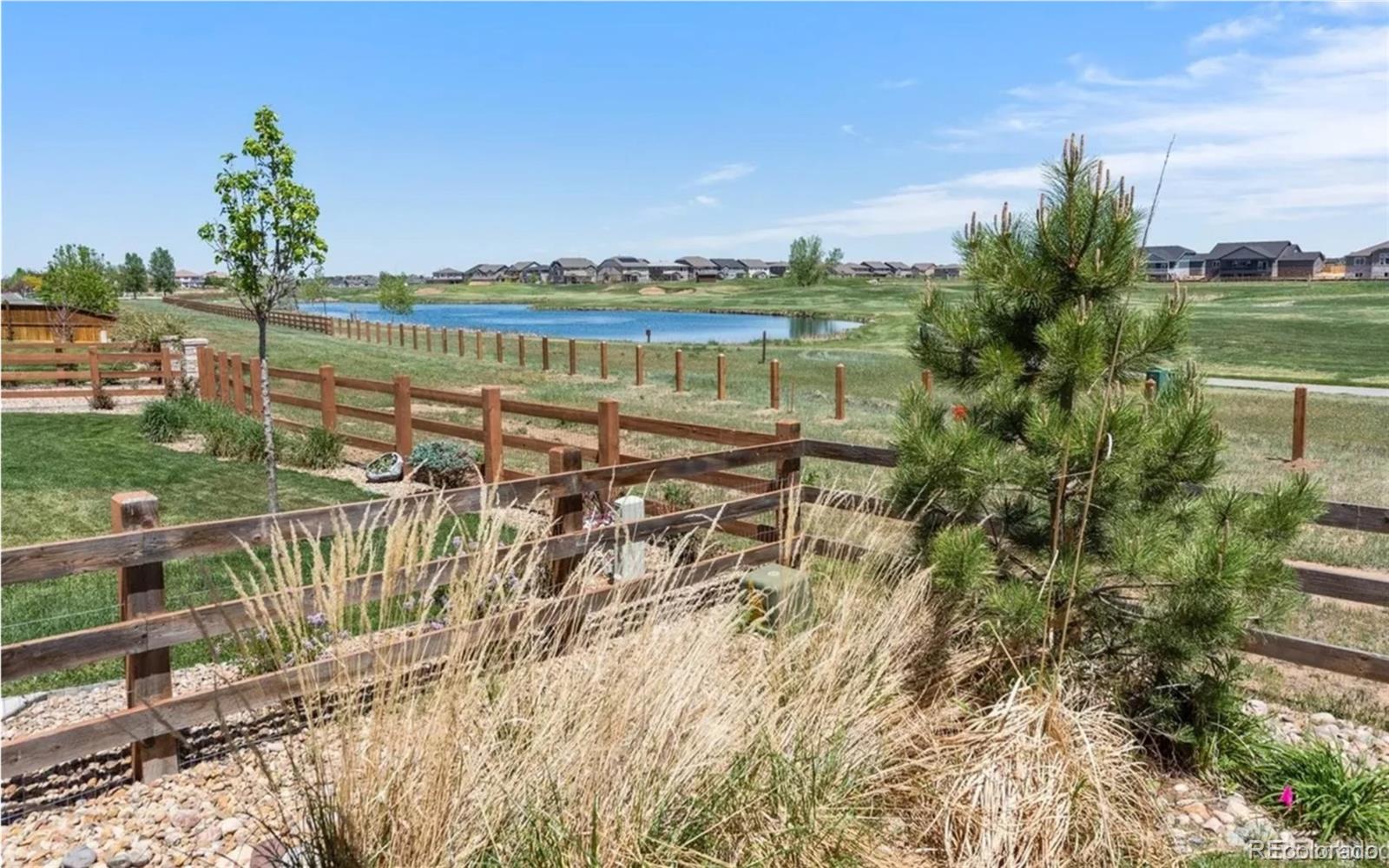MLS Image #3 for 11588  jasper street,commerce city, Colorado