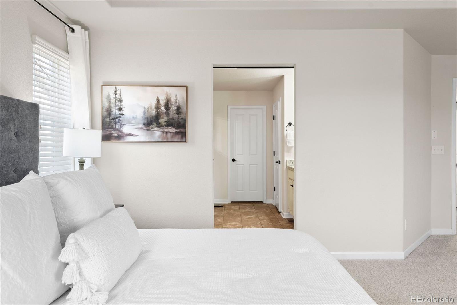 MLS Image #22 for 352  taurus drive,erie, Colorado