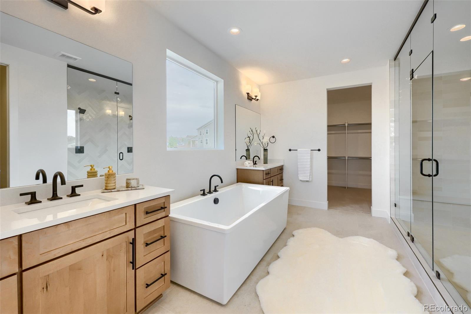 MLS Image #10 for 4521  weitbrec lane,castle rock, Colorado