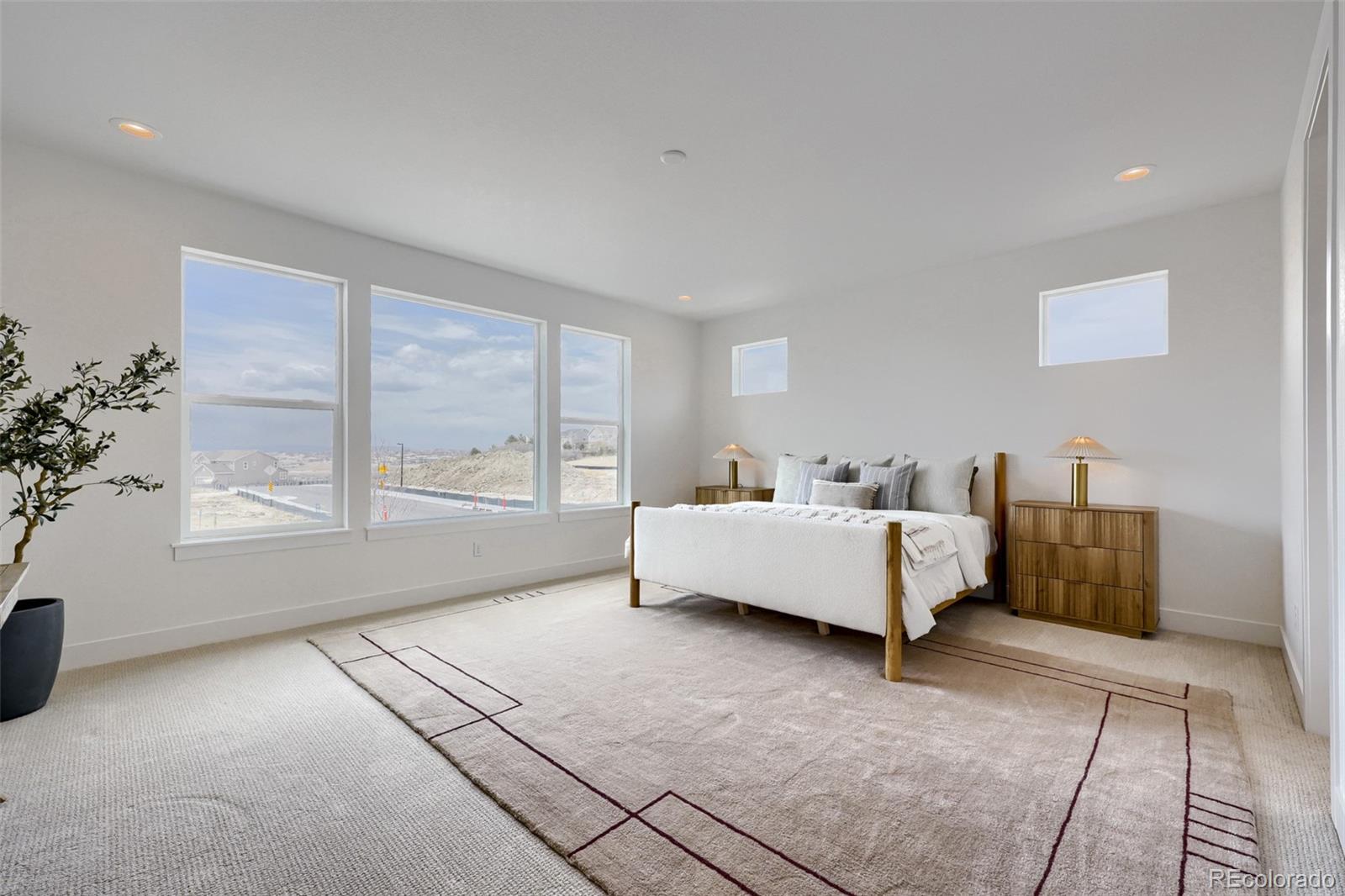 MLS Image #8 for 4521  weitbrec lane,castle rock, Colorado