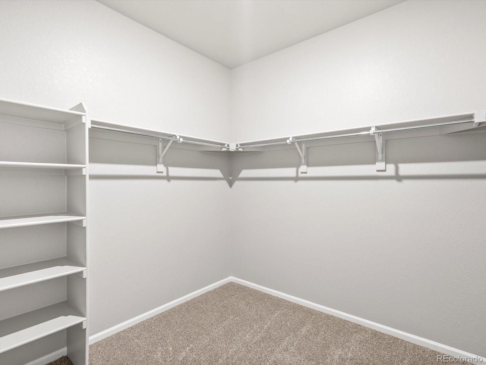 MLS Image #20 for 1603  nathan river drive,windsor, Colorado