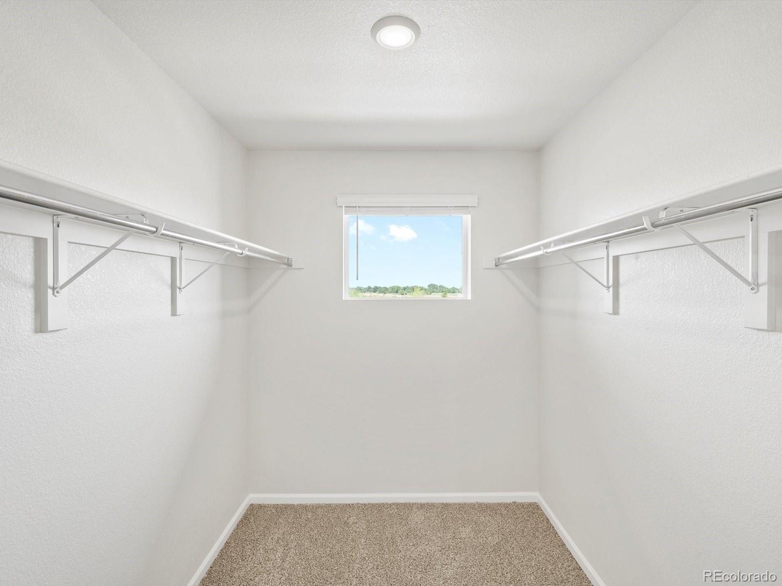MLS Image #15 for 1620  riverplace drive,windsor, Colorado