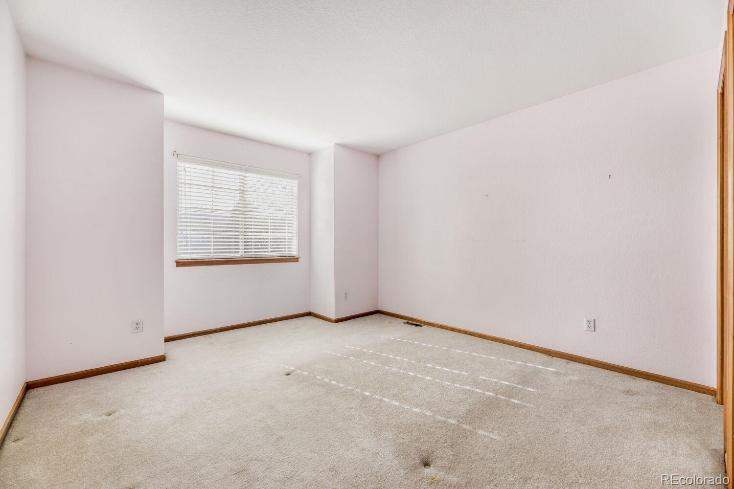 MLS Image #18 for 10791  trailrider pass,littleton, Colorado