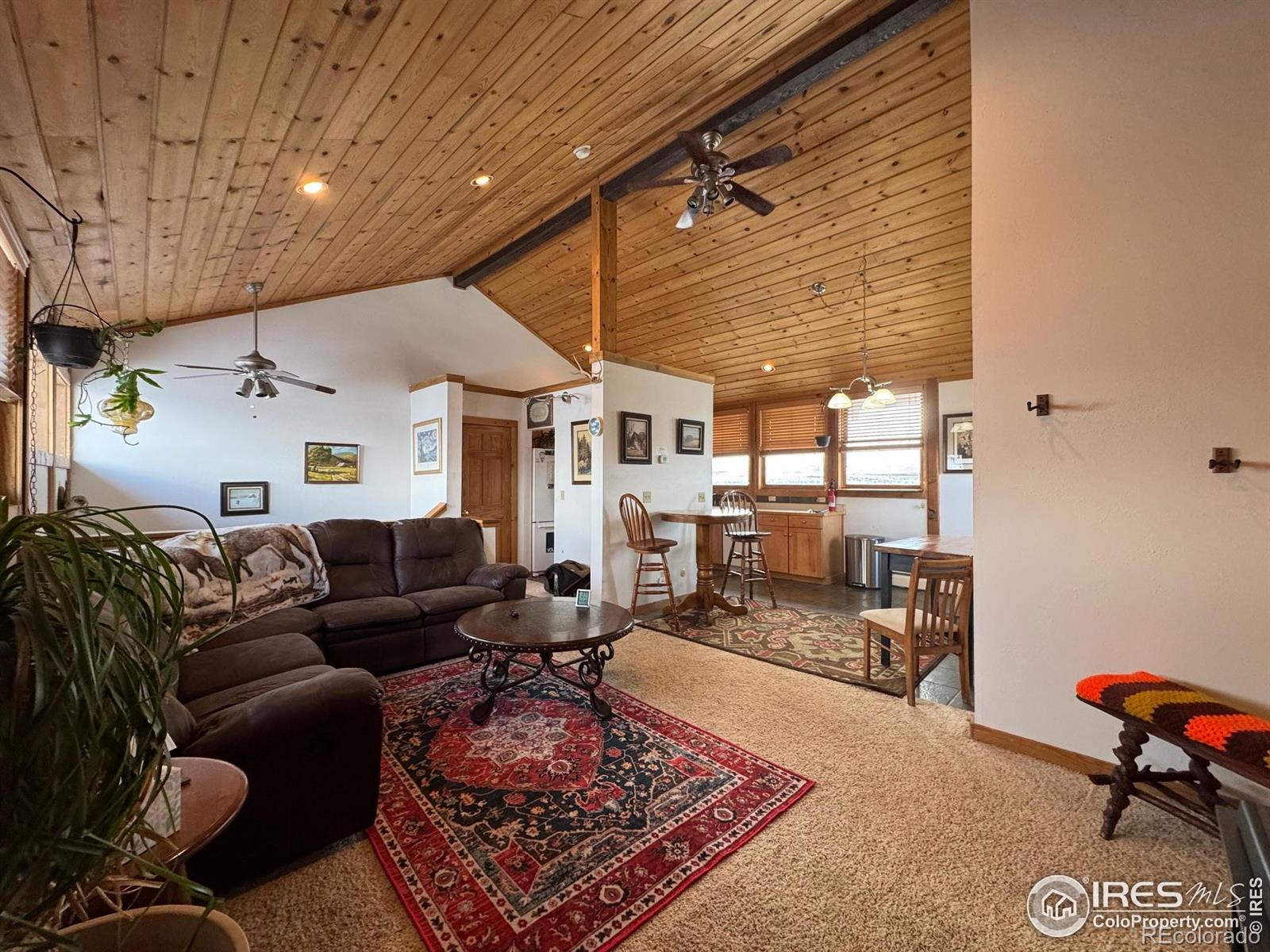 MLS Image #1 for 158  antelope drive,walden, Colorado