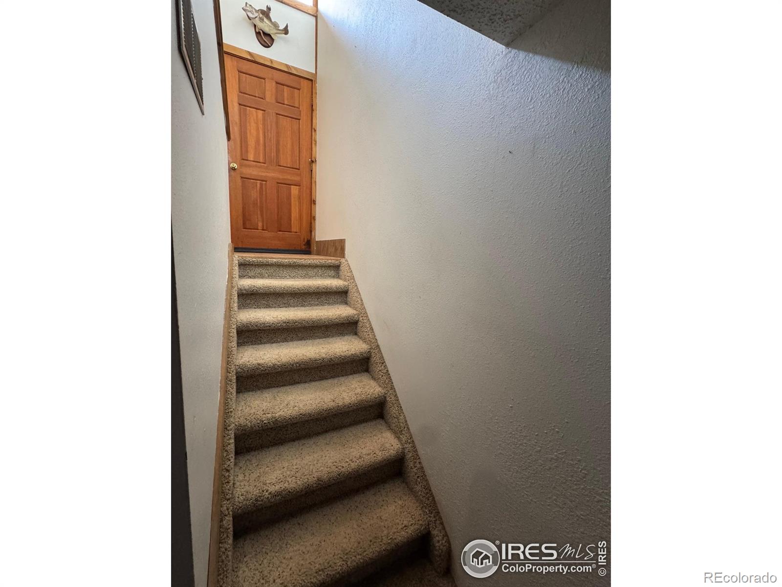 MLS Image #25 for 158  antelope drive,walden, Colorado