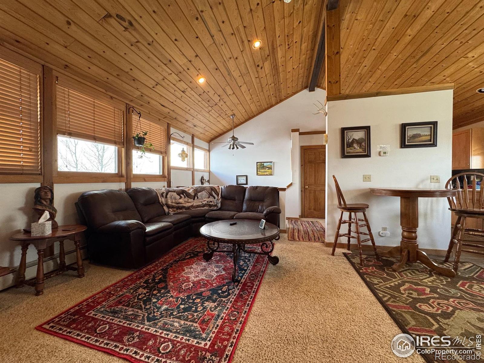 MLS Image #3 for 158  antelope drive,walden, Colorado